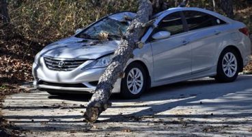 Araç Sigortası Türleri: Hangisi Sizin İçin Uygun?