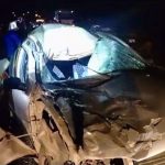 Elazığ’da yola çıkan ineğe çarpan otomobildeki 3 kişi yaralandı