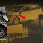 Sokak köpekleri otomobili paramparça etti: Hasarın bedelini belediyeden istedi