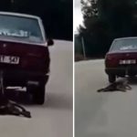 Otomobilin arkasına bağladığı köpeği sürükledi