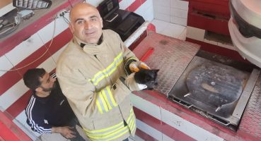 Otomobilin motor bölümüne sıkışan yavru kedi kurtarıldı
