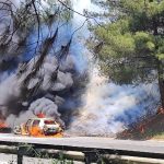 Tarsus'ta araçta çıkan yangın ormana sıçradı