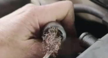 Pes dedirten görüntü: Otomobilin motorundan çıktı