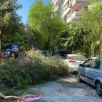İzmir'de park halindeki otomobilin üzerine ağaç devrildi