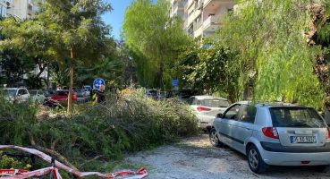 İzmir’de park halindeki otomobilin üzerine ağaç devrildi