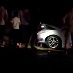Van'da otomobil sürüye çarptı: 8 koyun telef oldu